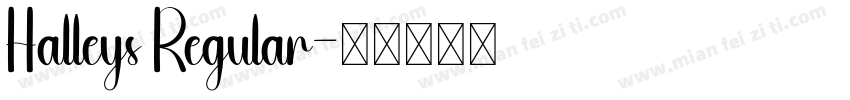 Halleys Regular字体转换